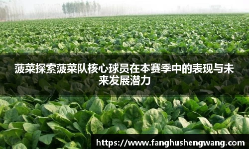 菠菜探索菠菜队核心球员在本赛季中的表现与未来发展潜力